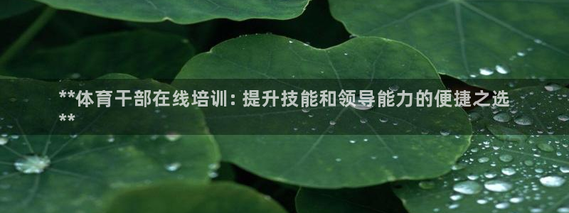 极悦官网登录