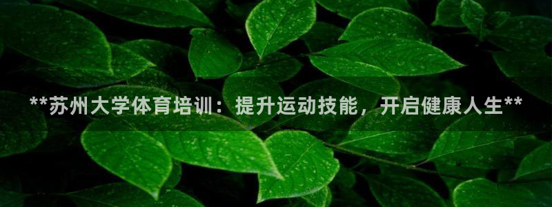 极悦牙膏怎么样好不好