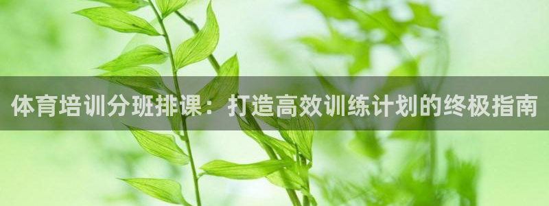 极悦官网下载最新版本更新内容视频：体育培训分班排课：