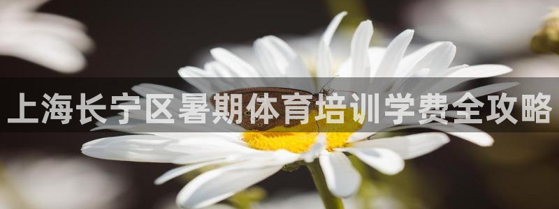 极悦娱乐的背景和历史背景分析：上海长宁区暑期体育培训