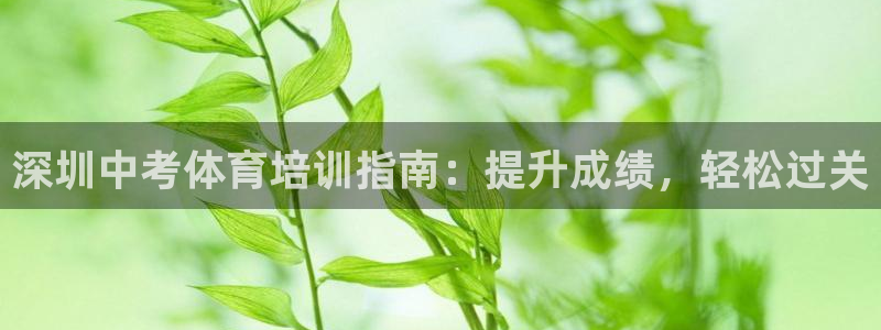 极悦娱乐现在叫什么：深圳中考体育培训指南：提升成绩，