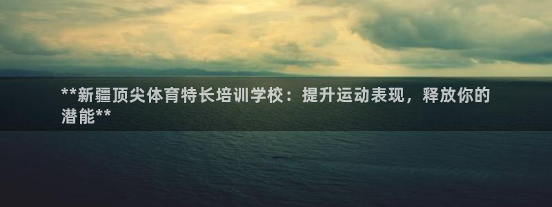 苏州极悦信息科技有限公司：**新疆顶尖体育特长培训学