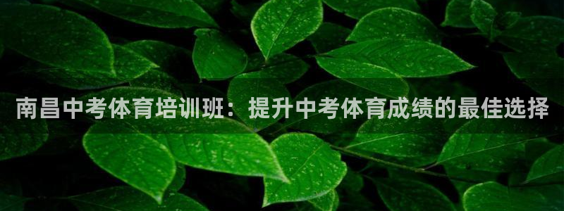 极悦平台官网登录入口网址是什么：南昌中考体育培训班：