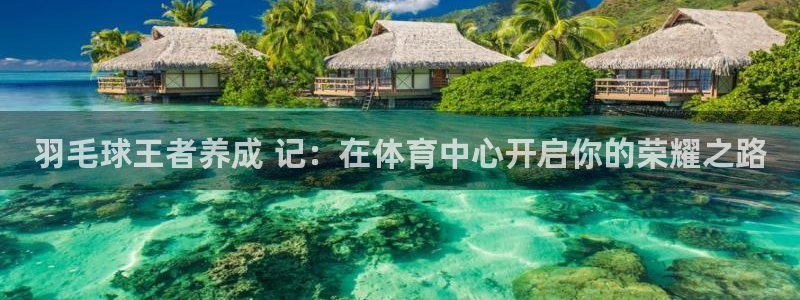 极悦平台官网登录入口网址查询：羽毛球王者养成 记：在